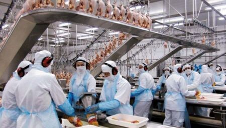 Justiça valida demissão por justa causa de trabalhador em MS que se recusou a usar EPI