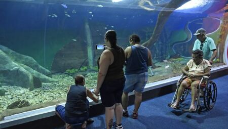 A certificação foi viabilizada pelo Sistema Comércio MS