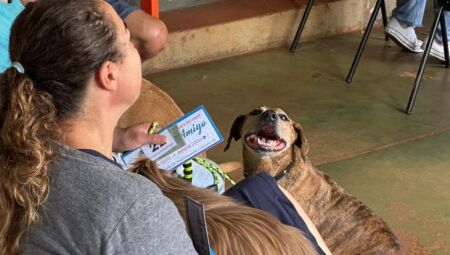 Em Dourados, a procura superou as expectativas: 5,6 mil inscrições foram registradas para as 1.600 vagas disponíveis