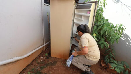 Dengue segue presente no estado