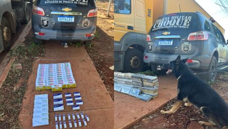 O entorpecente foi encontrado com auxílio do cão farejador, Aron