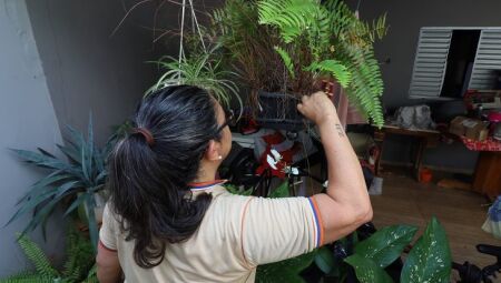 MS realiza 'Dia D' em combate à dengue