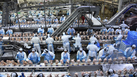 Complexo frigorífico foi um dos segmentos com maior exportação