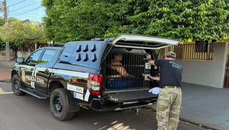 Mulher foi presa em Nova Andradina
