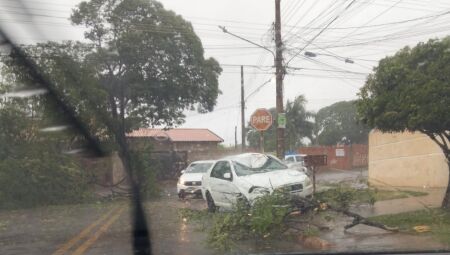 Carro ficou bastante danificado