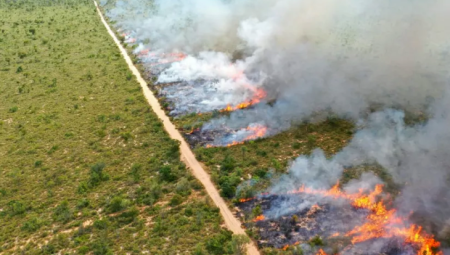 Atualmente, queimadas controladas estão autorizadas nos biomas Cerrado e Mata Atlântica