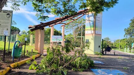 Galhos de árvores ficaram espalhados por todos os lugares do parque, mas foram retirados