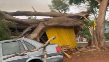 A queda aconteceu durante as chuvas de hoje