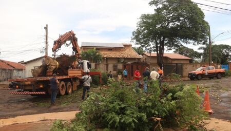 Mais de 40 chamados foram registrados pela Central 156