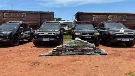 Drogas foram apreendidas