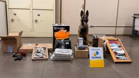 Embalada para viagem: Mais de 9 quilos de drogas são apreendidas nos Correios da Capital