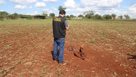 Corpo foi enterrado em cova rasa