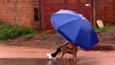 O caso aconteceu na tarde desta quinta