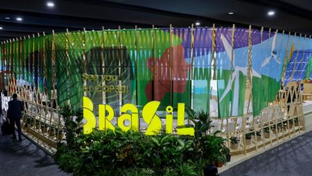 Foto: Fernando Donasci/MMA