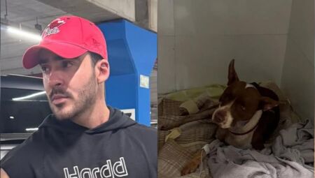 Cantor sertanejo resgata cadelinha ferida em rodovia de MS


