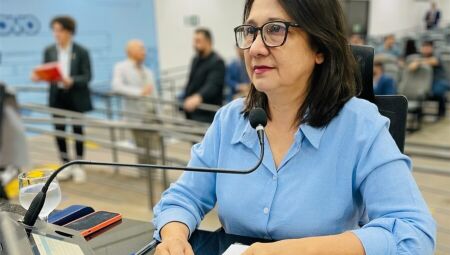 Vereadora Luiza Ribeiro