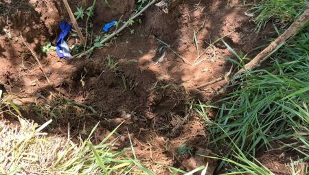 O caso foi descoberto na manhã de hoje