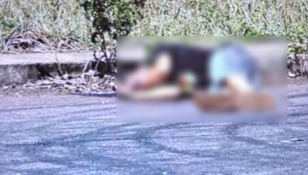 O caso aconteceu na tarde de hoje