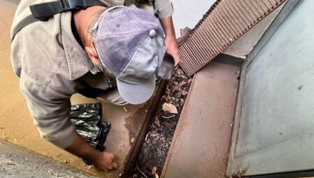 Casos de dengue seguem praticamente est&aacute;veis