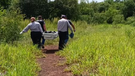 Corpo foi encaminhado para o IMOL