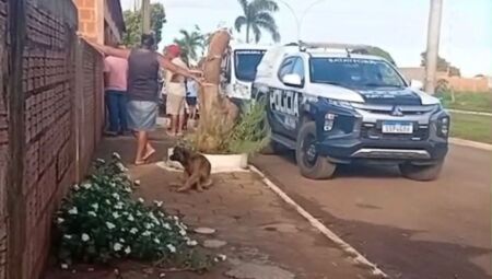Pol&iacute;cia esteve no local