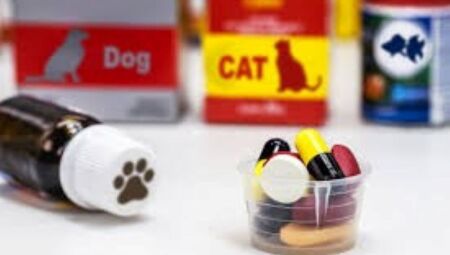 Governo atualiza normas de controle pós-comercialização de produtos veterinários