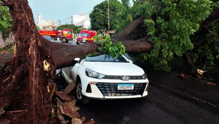 HB20 ficou destruído