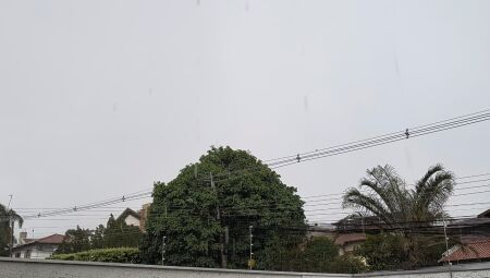 Chuva chegou de maneira tranquila em Campo Grande