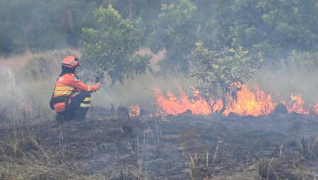 Operação Pantanal têm sido eficiente