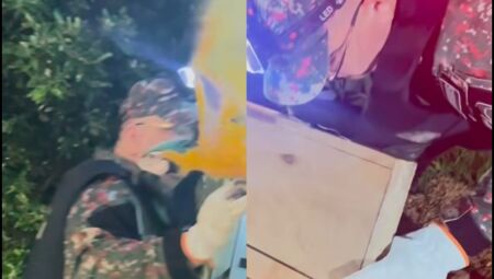 Vídeo: PMA resgata arara em situação de risco na Capital