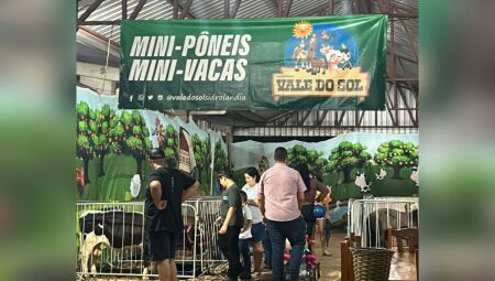 Fazendinha foi destaque na Expo Sidrol&acirc;ndia 25