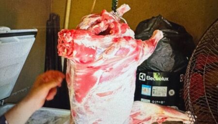 O caso foi descoberto nesta ter&ccedil;a