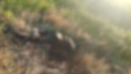 Homem &eacute; encontrado carbonizado em fazenda de Aral Moreira