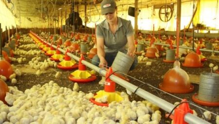 Foto: Reprodu&ccedil;&atilde;o