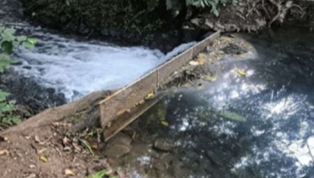 MPMS investiga empresa tur&iacute;stica em Bonito por polui&ccedil;&atilde;o e destrui&ccedil;&atilde;o de vegeta&ccedil;&atilde;o aqu&aacute;tica