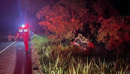 Carro colidiu em duas &aacute;rvores ap&oacute;s acidente com animal