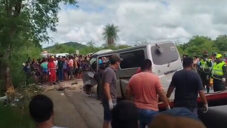 Van atingiu uma &aacute;rvore