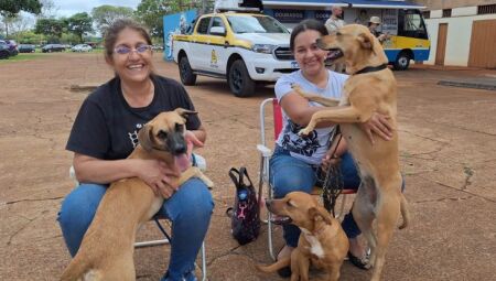 Ao longo de 2026, a Caravana da Castra&ccedil;&atilde;o deve chegar a 63 munic&iacute;pios