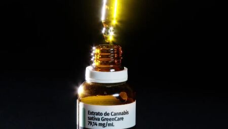 Anvisa aprova cultivo de cannabis por empresas e amplia acesso