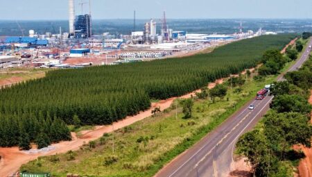 Os profissionais v&atilde;o atuar na&nbsp;Suzano