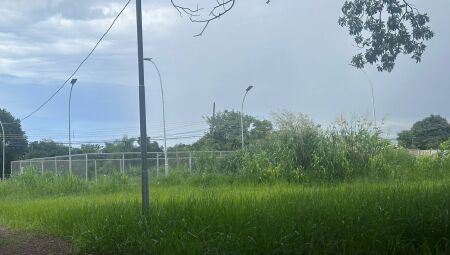 Mato toma conta do local