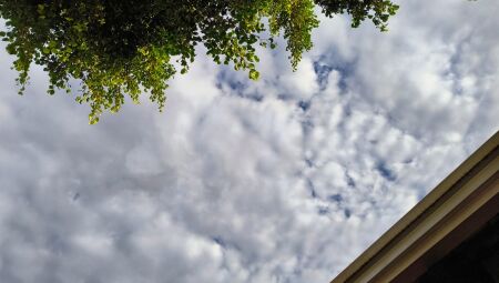 Tempo amanheceu parcialmente nublado em Campo Grande