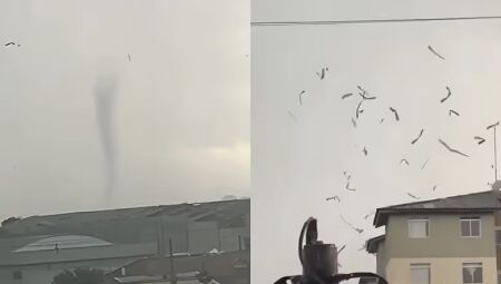 Foto: Reprodu&ccedil;&atilde;o 