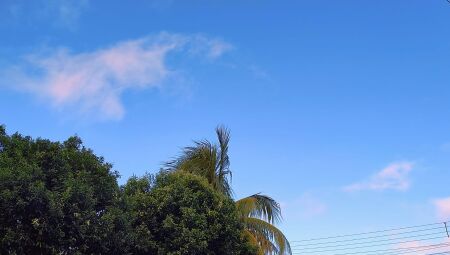 C&eacute;u azul com poucas nuvens em Campo Grande