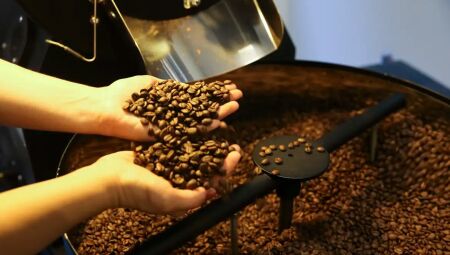 Gr&atilde;os de caf&eacute;