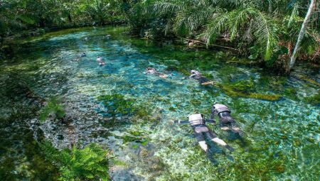 Foram mais de 110 mil vouchers distribu&iacute;dos no ano