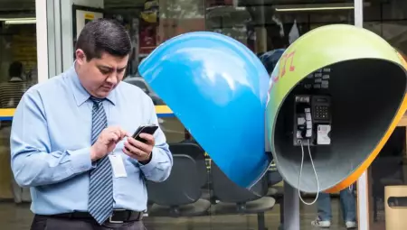 Orelh&otilde;es ser&atilde;o extintos at&eacute; o fim de 2028 em todo o pa&iacute;s