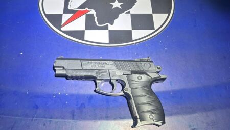 Simulacro apreendido