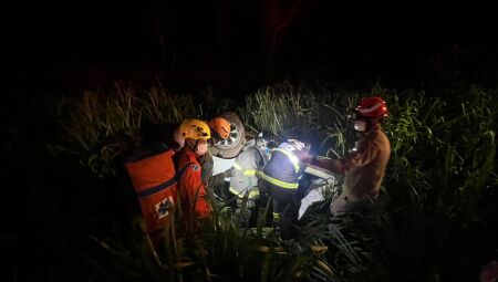 Carro parou nas margens da rodovia em meio ao mato