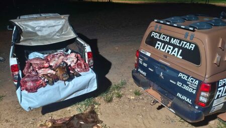 Carne do gado foi apreendida